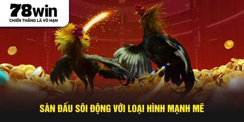 Sàn đấu sôi động với loại hình mạnh mẽ